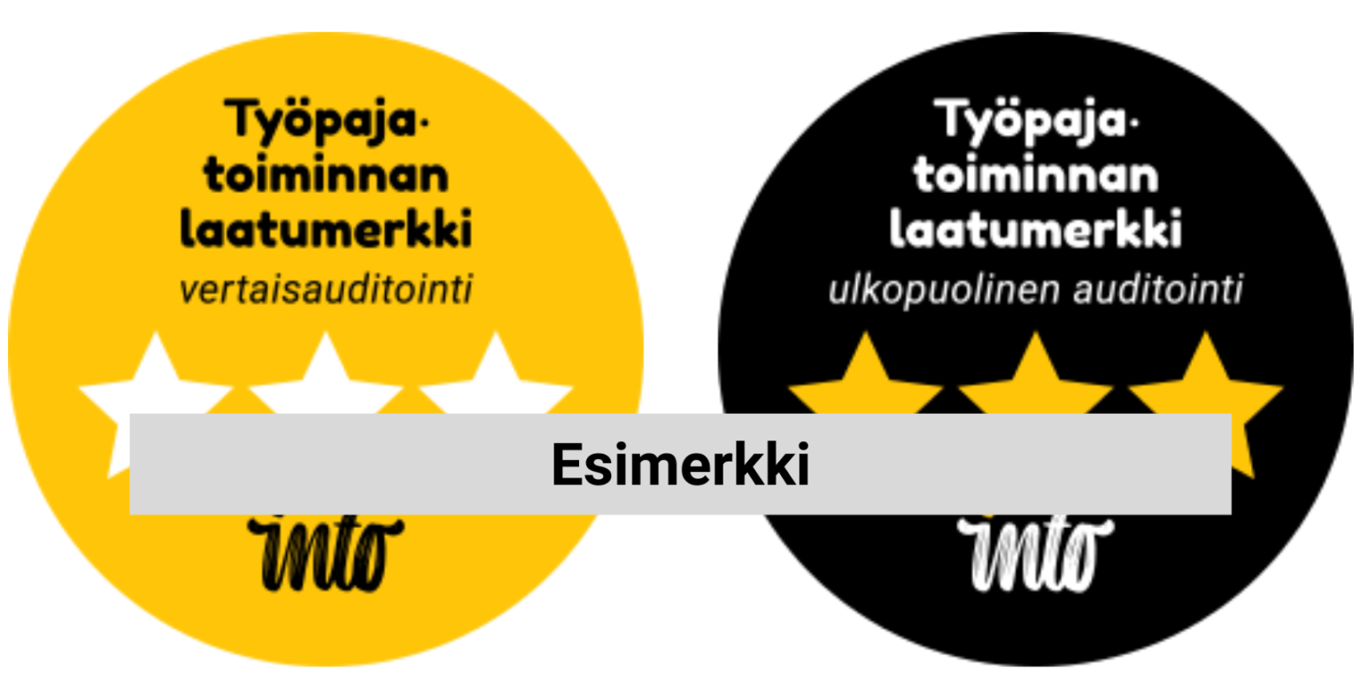 Työpajatoiminnan Laatukriteerit - Into – Etsivä Nuorisotyö Ja ...